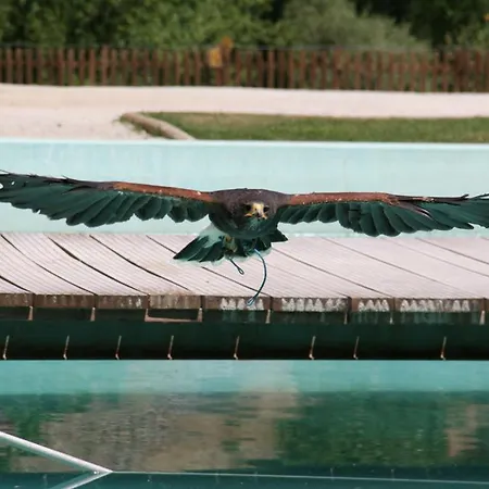 Casa rural Quinta De La Barandica