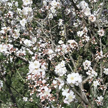 Séjour à la campagne Quinta De La Barandica *