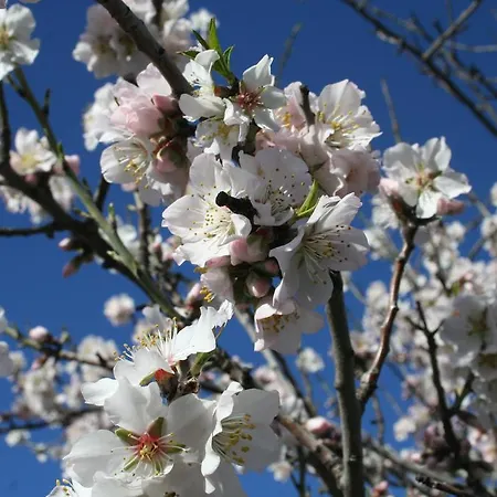 Casa rural Quinta De La Barandica *