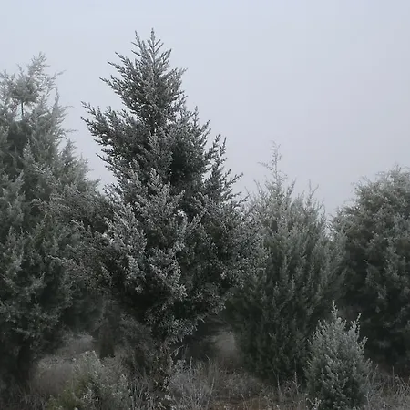 Quinta De La Barandica Miranda del Duero