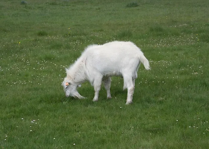 Εξοχικό σπίτι Quinta De La Barandica Miranda do Douro