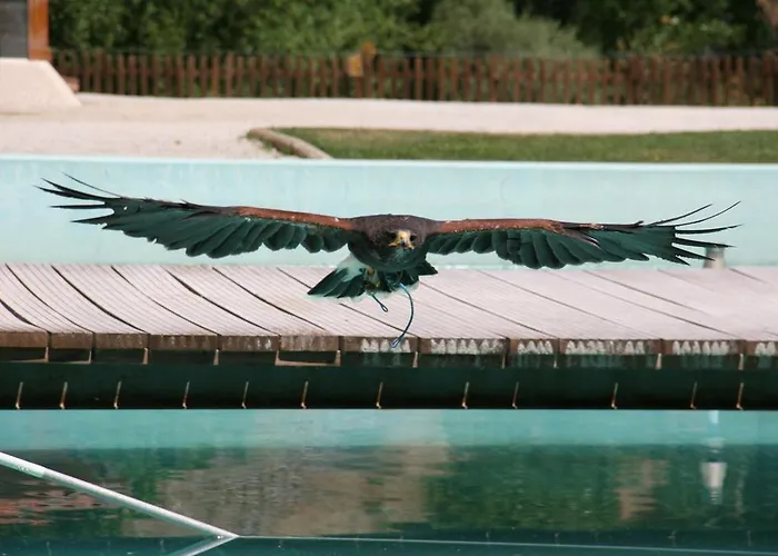 Εξοχικό σπίτι Quinta De La Barandica