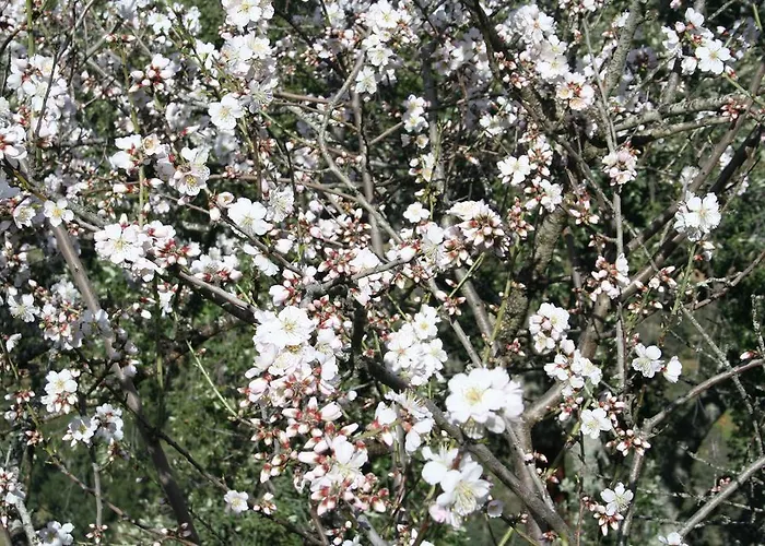 Lantställe Quinta De La Barandica *