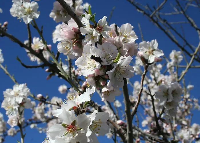 Lantställe Quinta De La Barandica *