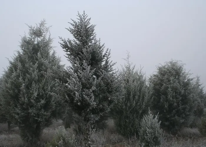 Quinta De La Barandica Miranda do Douro